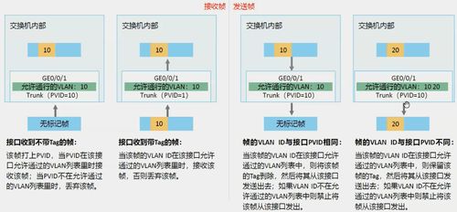 園區網架構與應用技術 現代企業網絡服務的核心支撐
